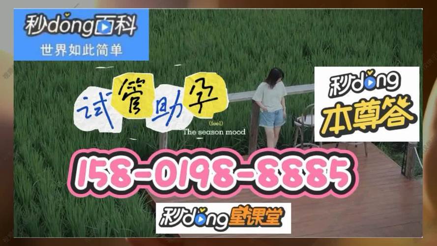 国内同性恋试管代怀机构哪家好-国内同性恋试管代怀机构哪家好?选择最佳代怀机构的关键因素