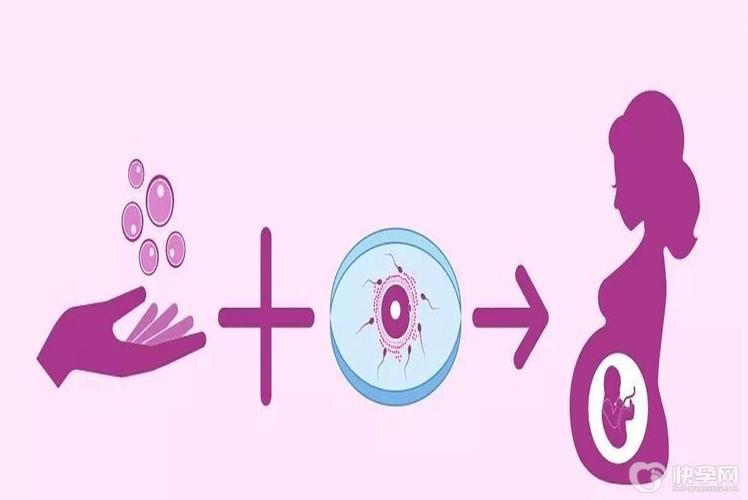 国内哪里可以借卵生子(国内哪里可以借卵生子?)