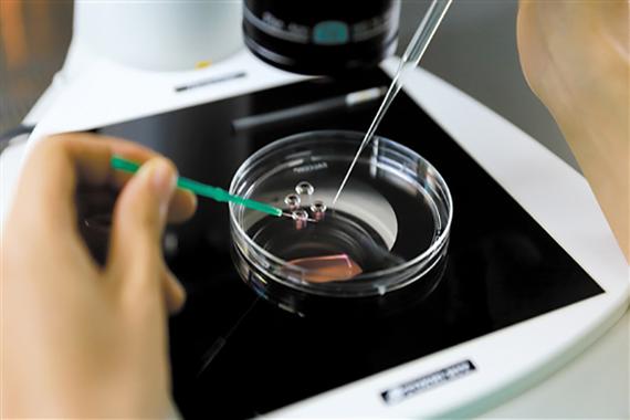 北京正规三代供卵试管公司_北京正规三代供卵试管公司:助您实现生育梦想